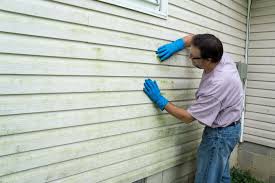 Best Storm Damage Siding Repair  in Peoria Heights, IL